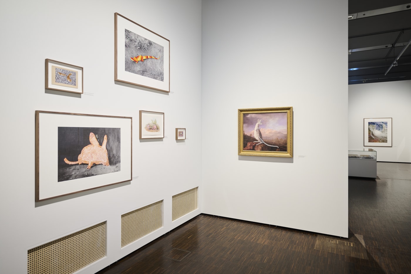 RAUTENSTRAUCH-JOEST-MUSEUM Koln | 'REVISIONS made by Warlpiri of Central Australia and Patrick Waterhouse'