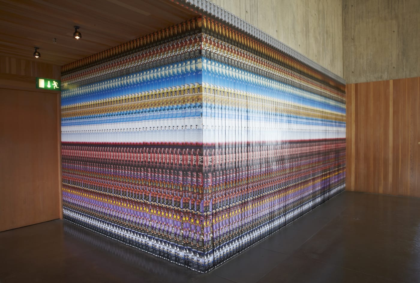 Leo Fitzmaurice You Tried To Tell Me But I Would Not Listen The New Art Gallery Walsall, 2011