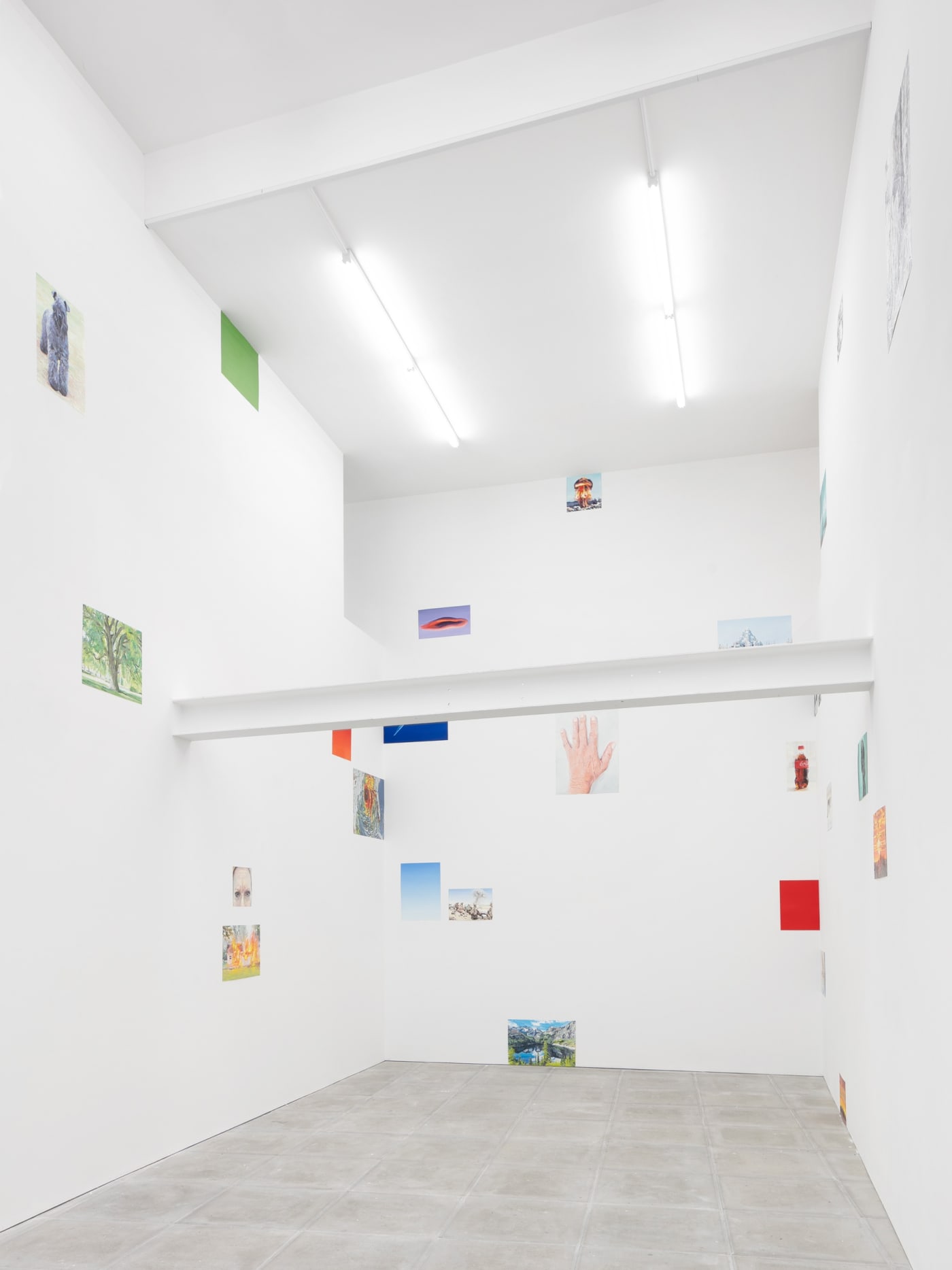 Cynthia Daignault: Xanadu