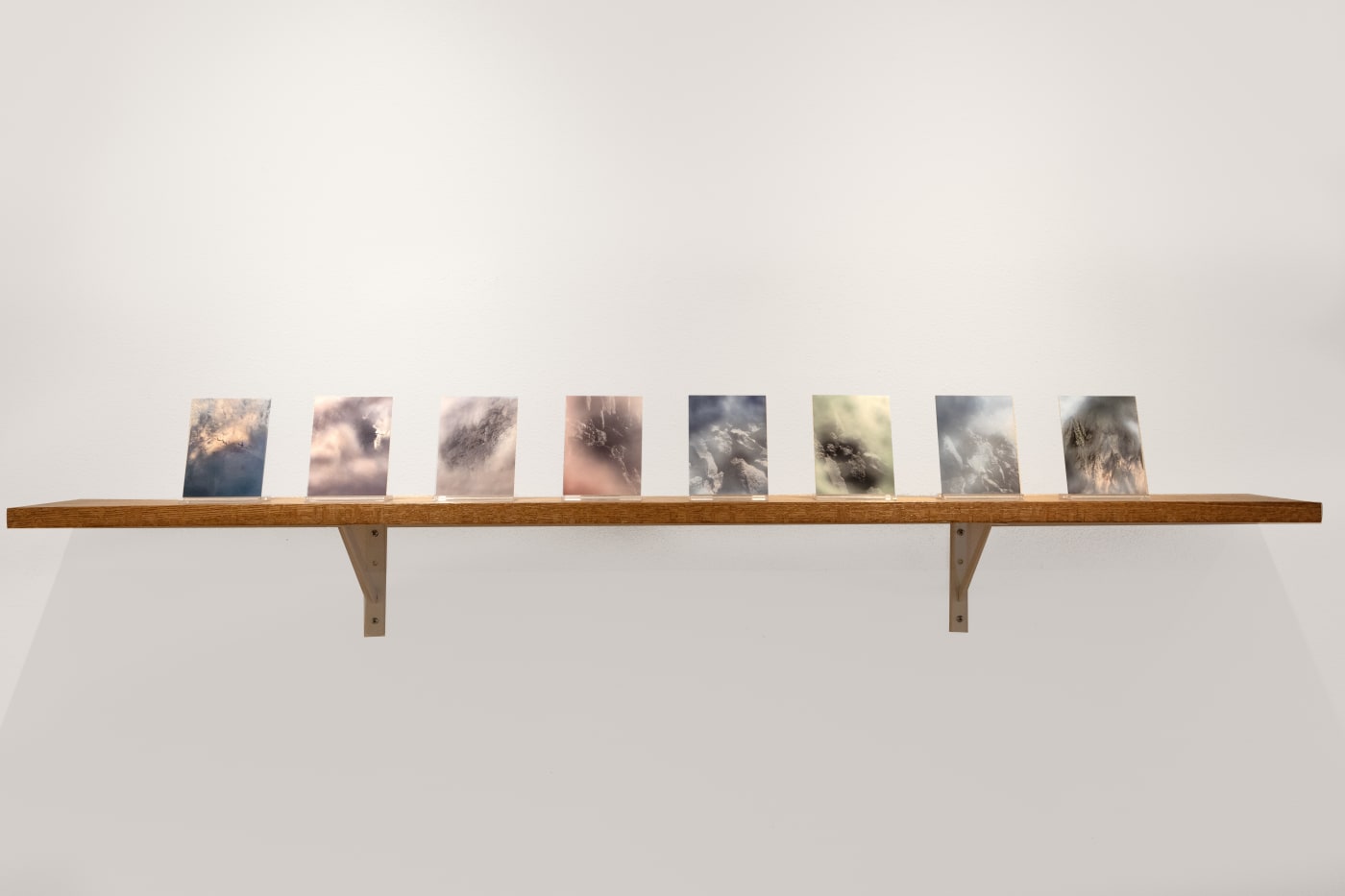 Terra Madre: Katrina Bello