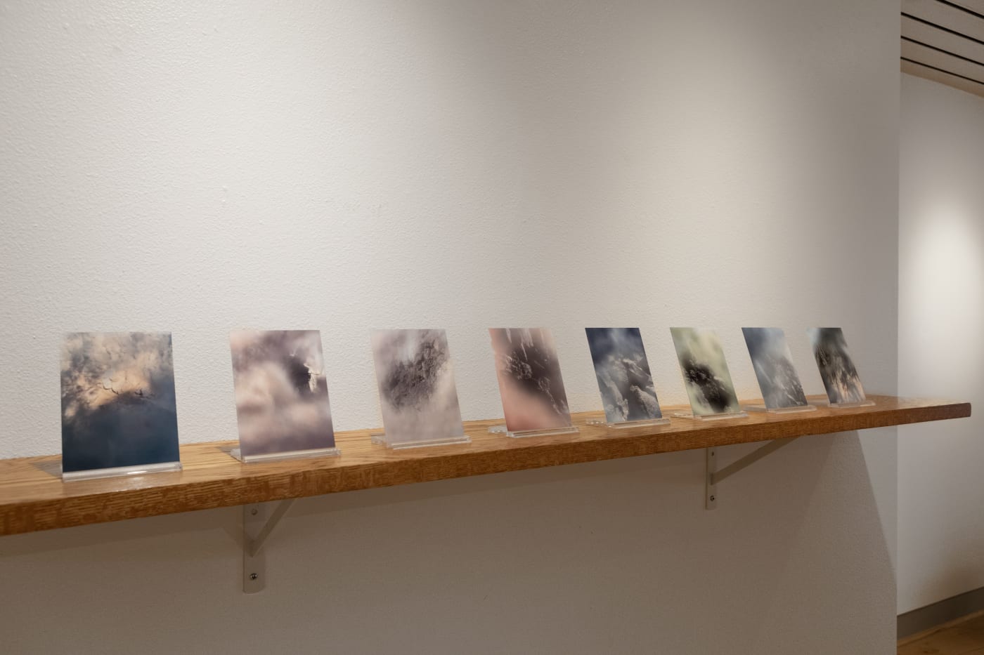 Terra Madre: Katrina Bello
