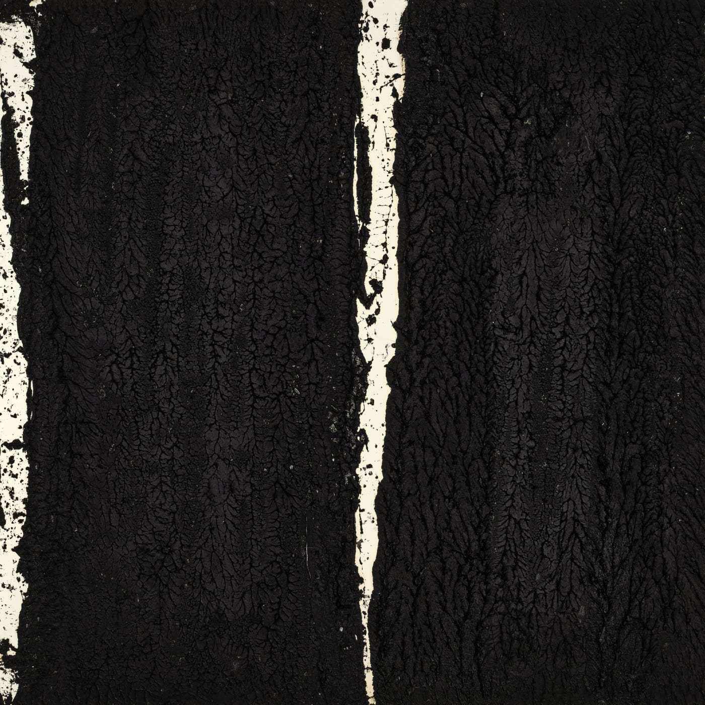 Richard Serra