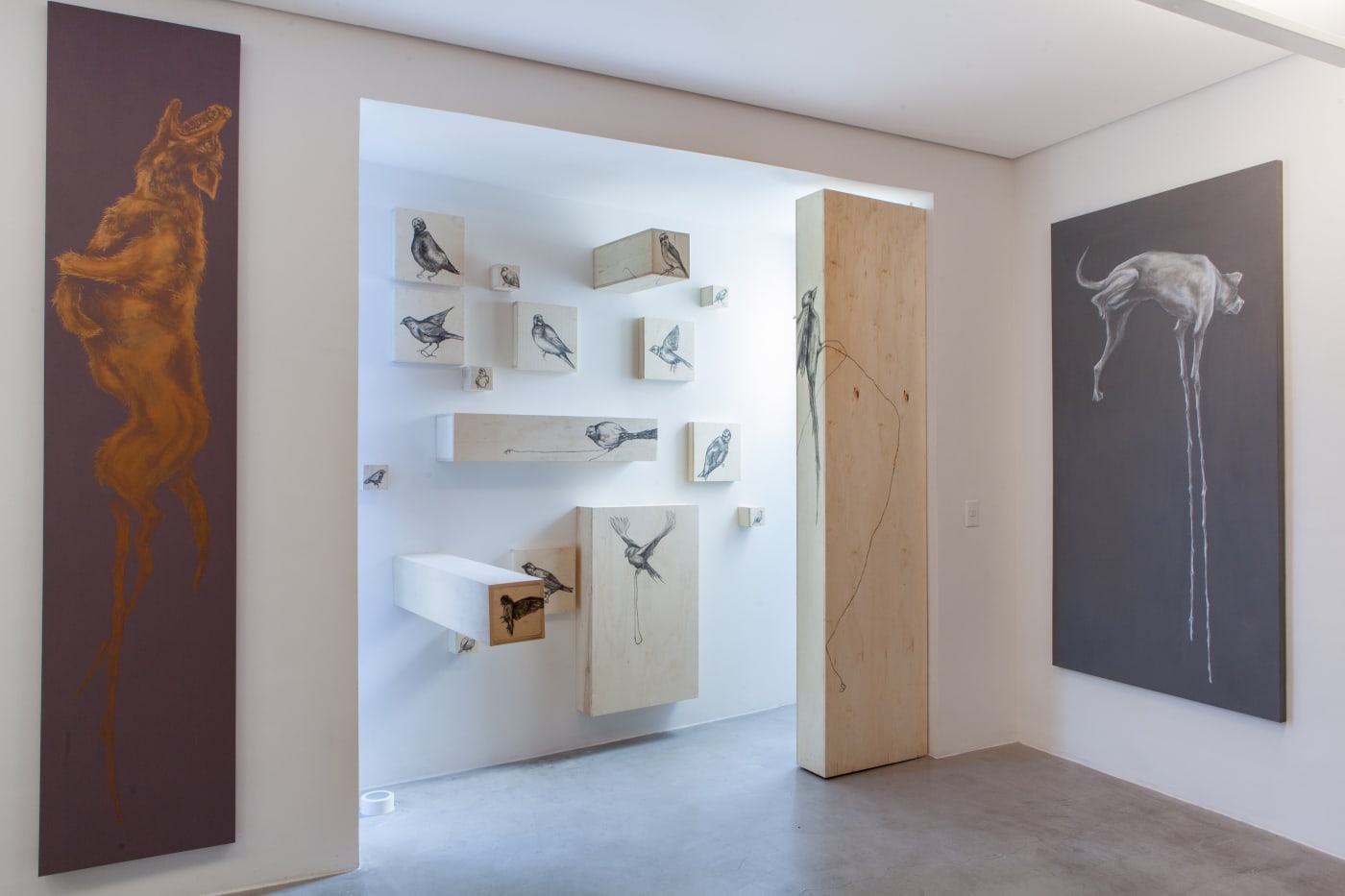 Zip'Up: Taxonomia