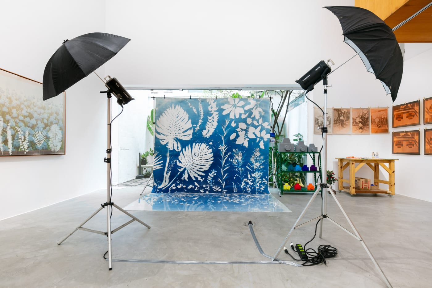 O Ateliê Fotográfico de André Feliciano