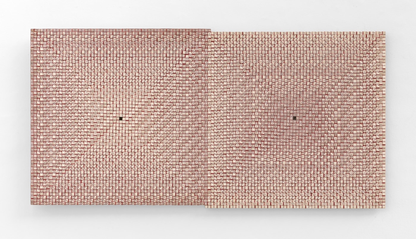 José Patrício, Superfície Ondulada II, 2006