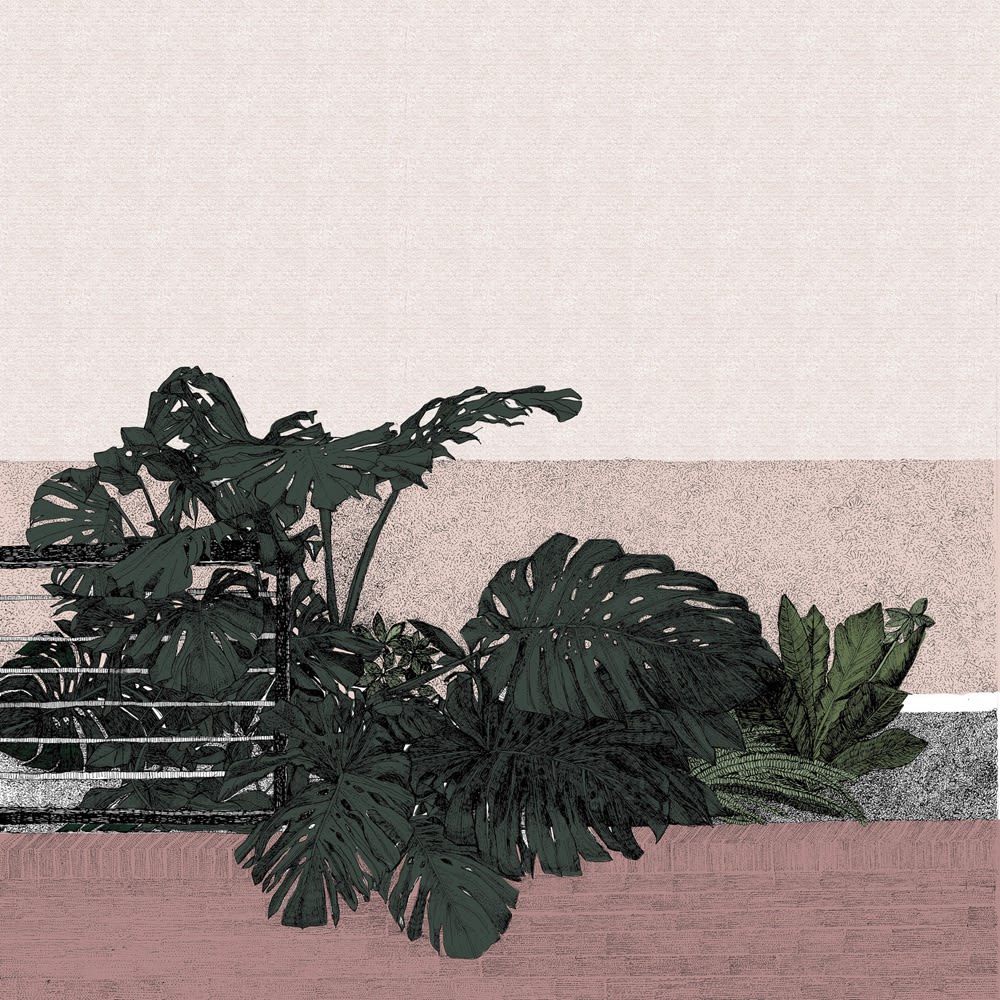 Clare Halifax screen print study of a monstera plant in shades of dark green against a patterned muted pink background.