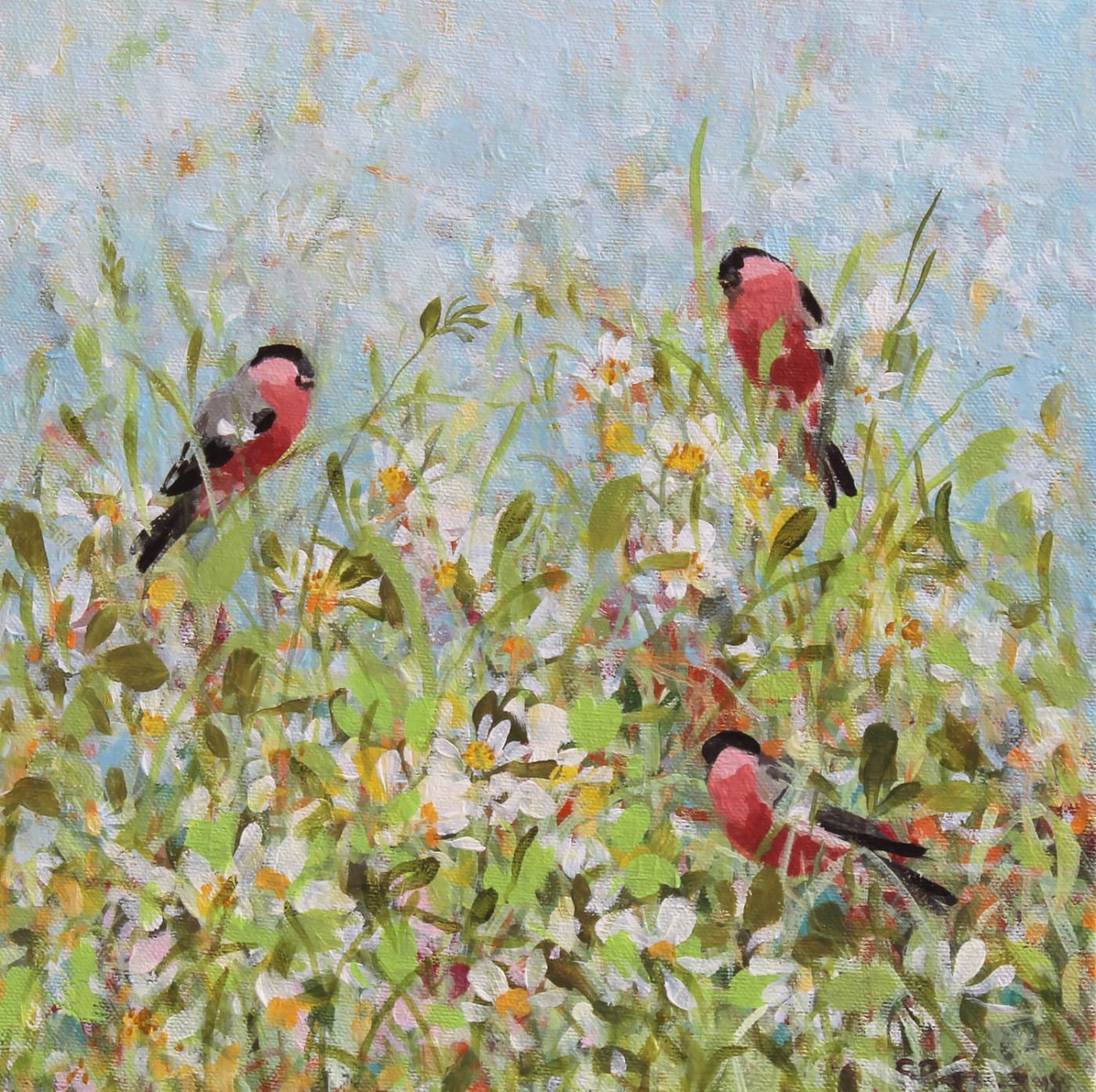 Fletcher Prentice, Bullfinches, 2020