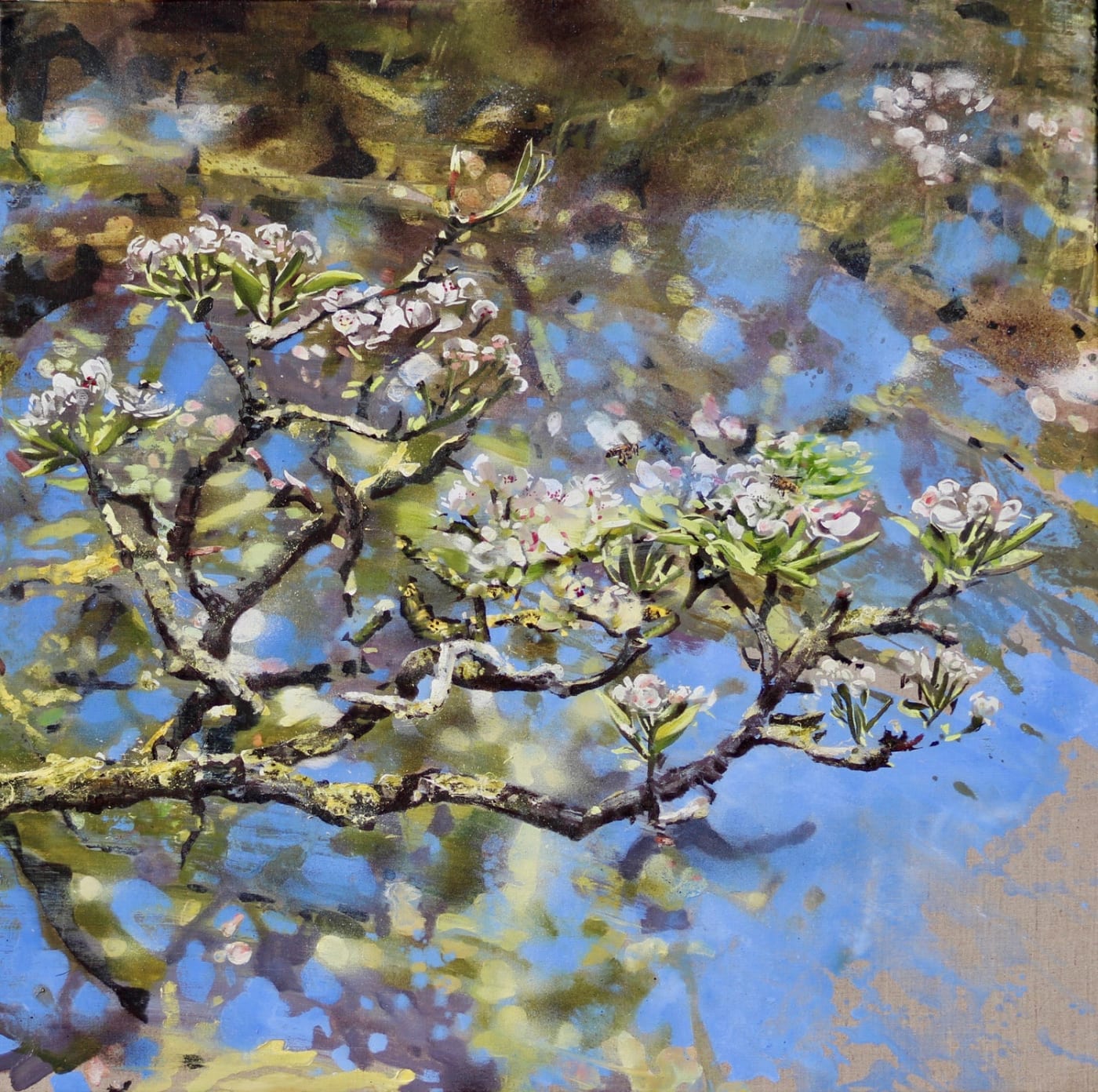 James Fotheringhame, Honeybees, Pear Blossom, 2020