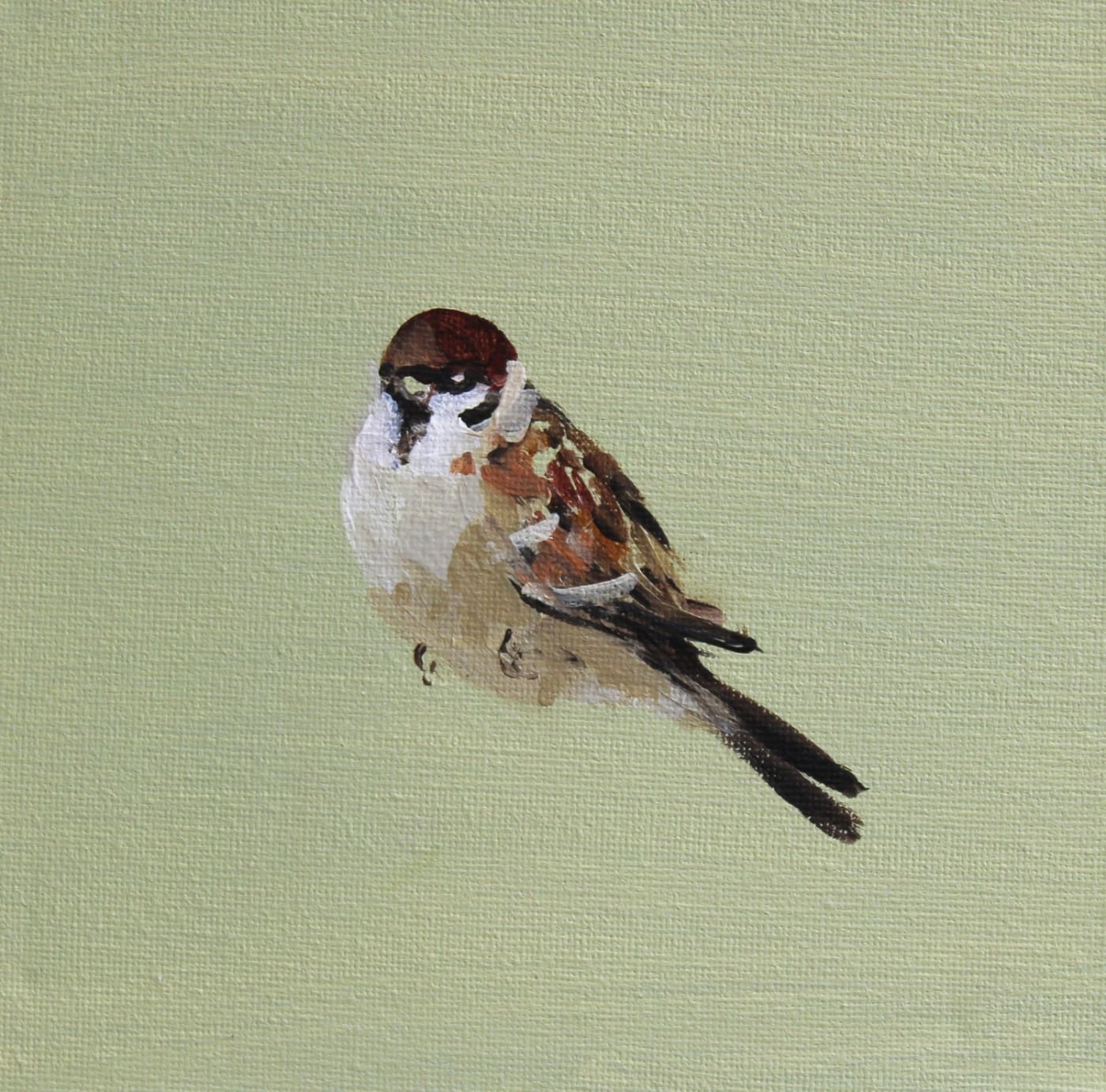 Fletcher Prentice, House Sparrow, 2020