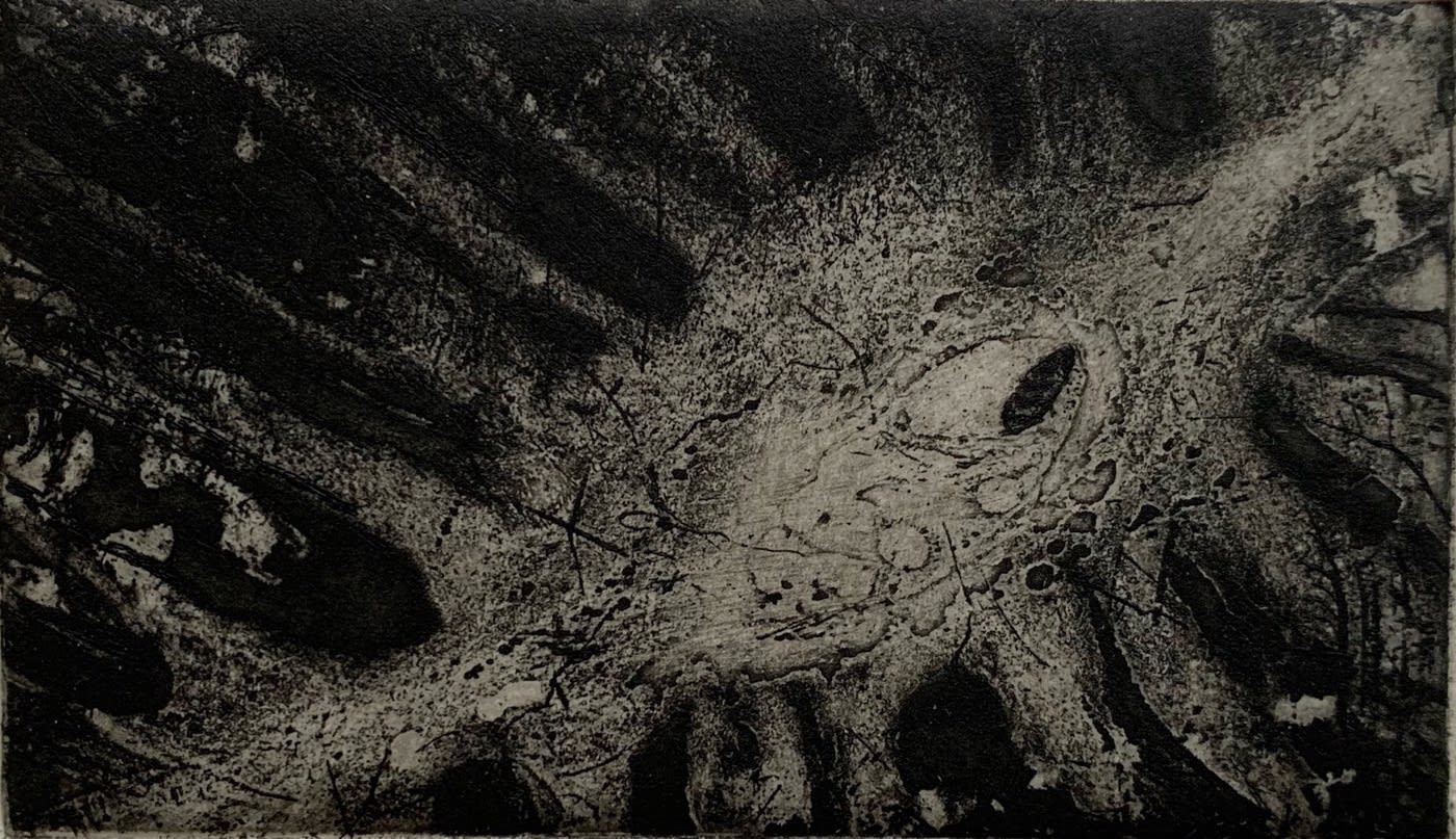 Flora McLachlan, Fairy tale, 4 Etchings: Journey, 2020