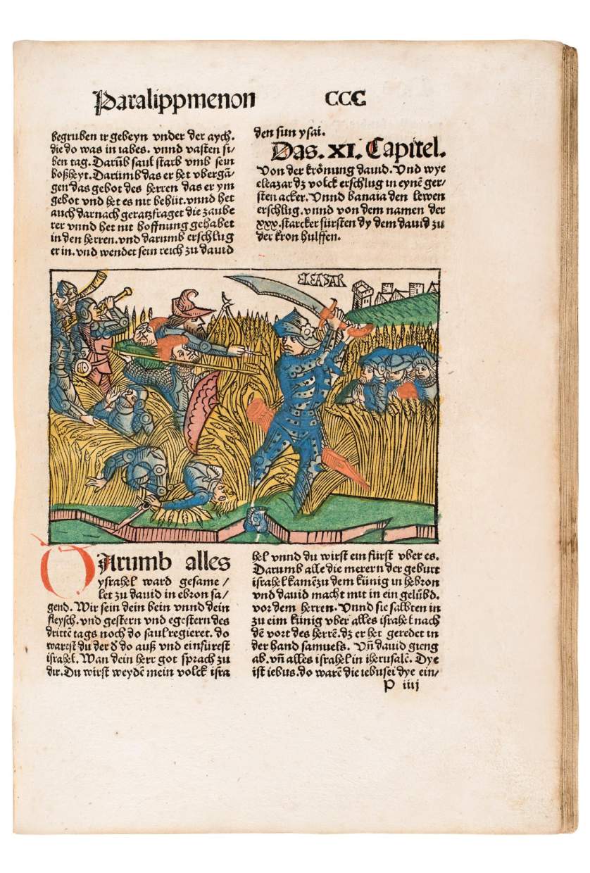 Tenth German Bible with contemporary colouring