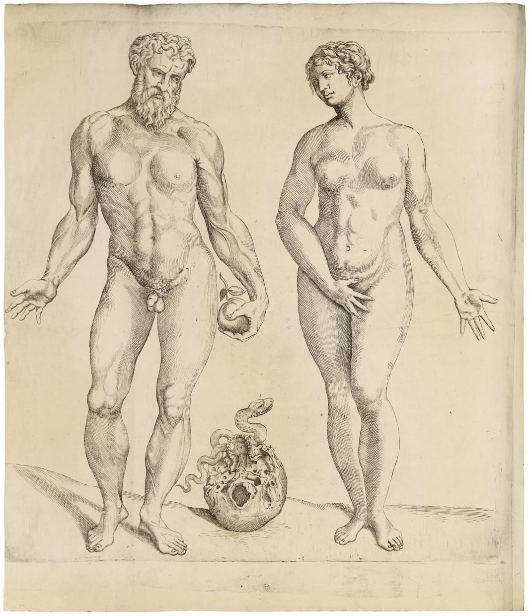 Anatomia Deudsch