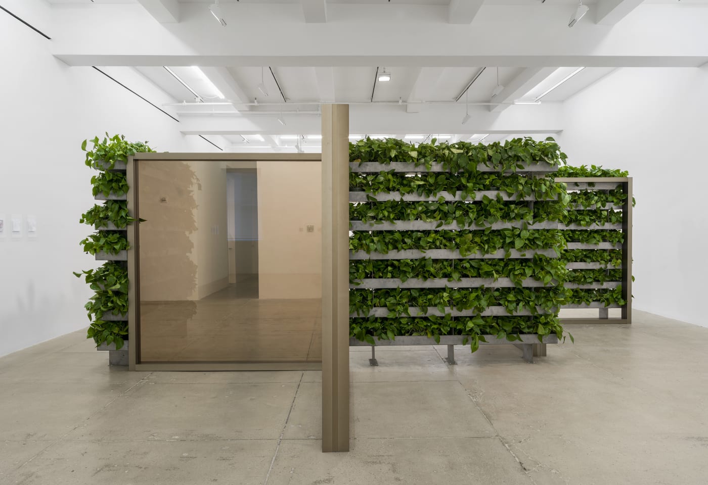 Installation view of a pavilion by Dan Graham with mirrors and hedges installed at Marian Goodman Gallery New York