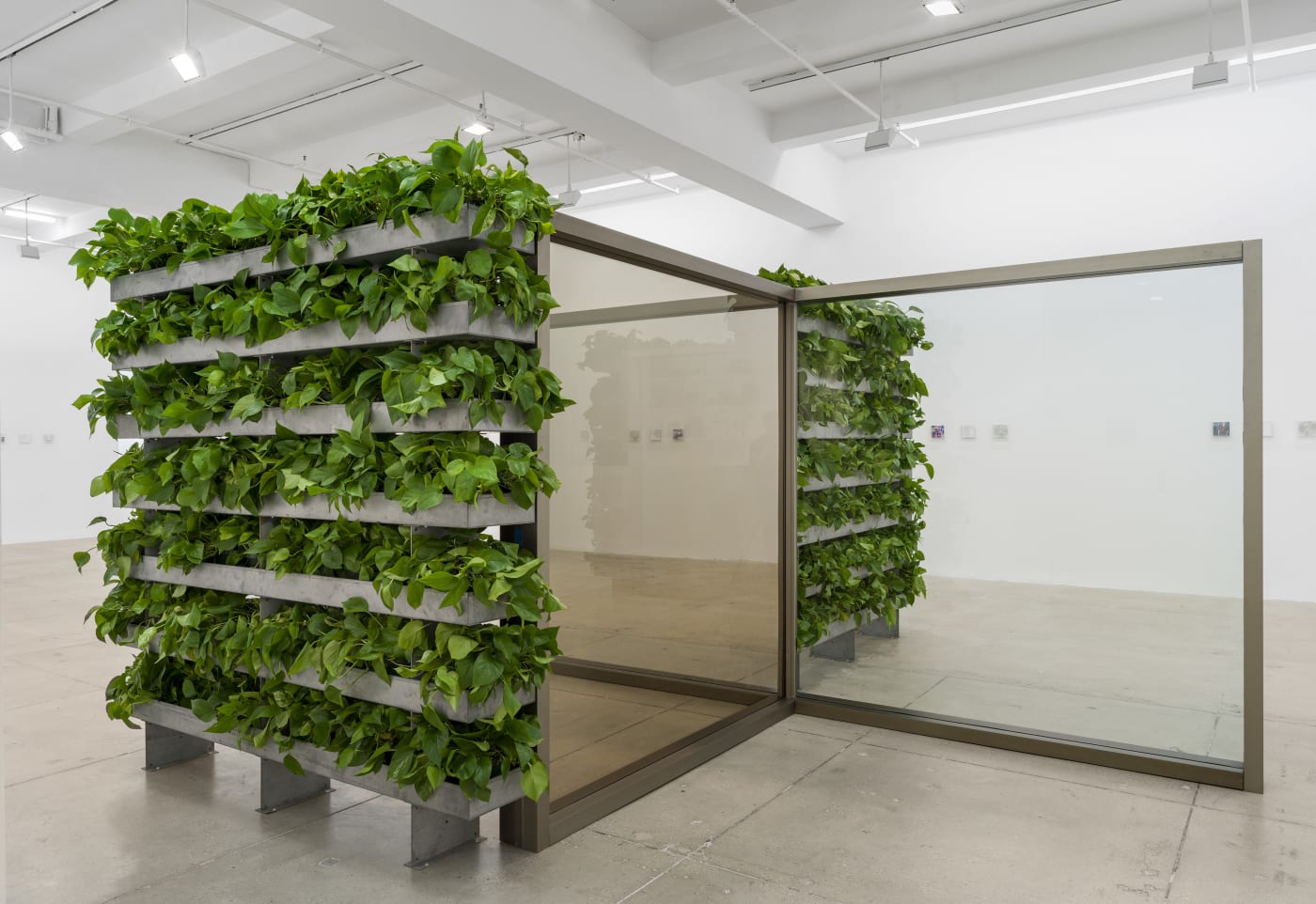 Installation view of a pavilion by Dan Graham with mirrors and hedges installed at Marian Goodman Gallery New York
