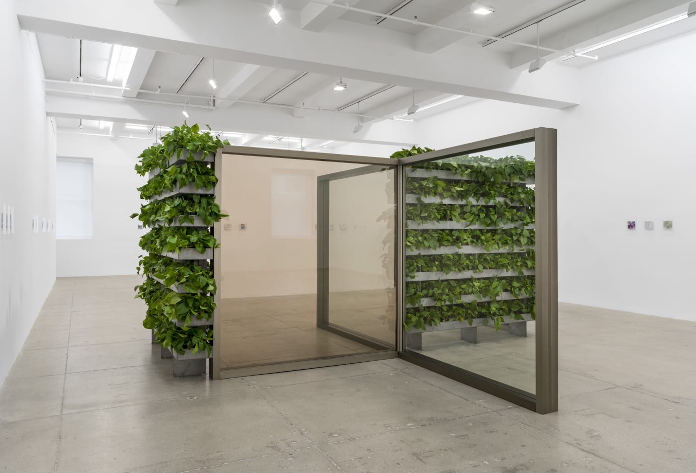 Installation view of a pavilion by Dan Graham with mirrors and hedges installed at Marian Goodman Gallery New York