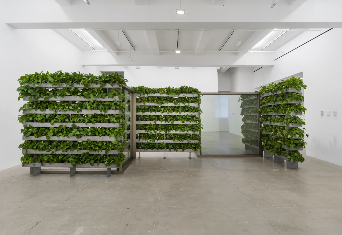 Installation view of a pavilion by Dan Graham with mirrors and hedges installed at Marian Goodman Gallery New York
