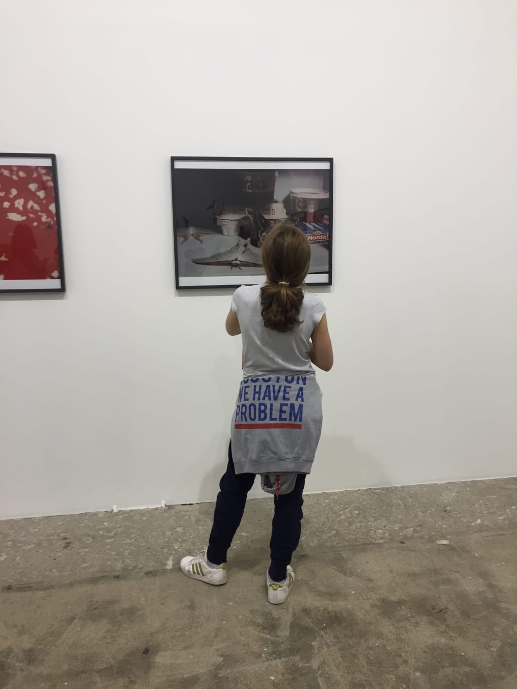 A teenager looking at a photograph by lothar baumgarten at the gallery Marian Goodman in Paris