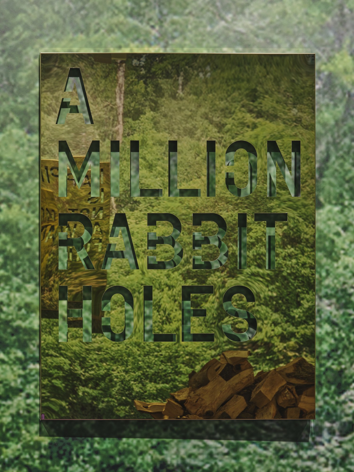 Rirkrit Tiravanija A MILLION RABBIT HOLES