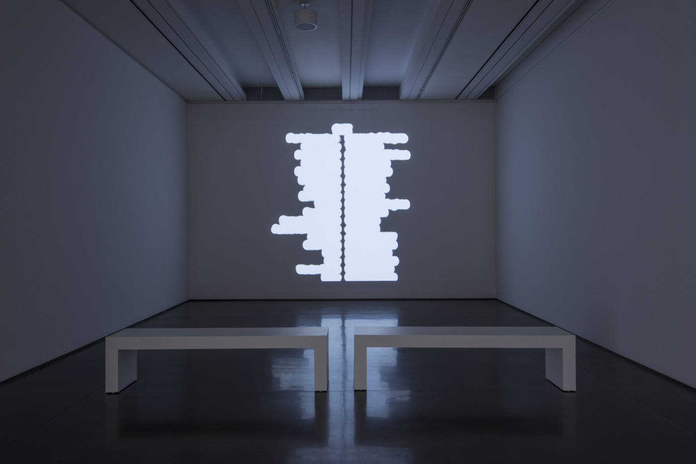 Aam2016 Ceal Floyer Install 25