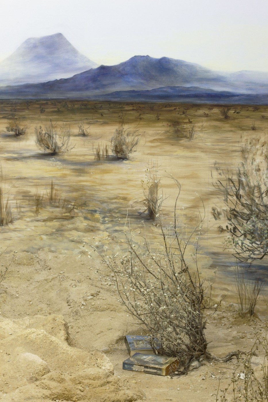 Dgf191 Desertic 2009 Dia Art Foundation 2009 3