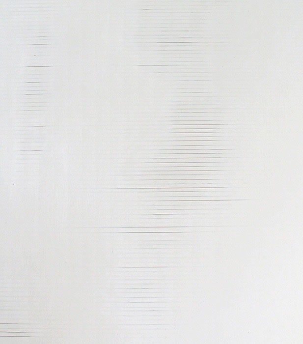 Prabhavathimeppayil Cu1 Detail2