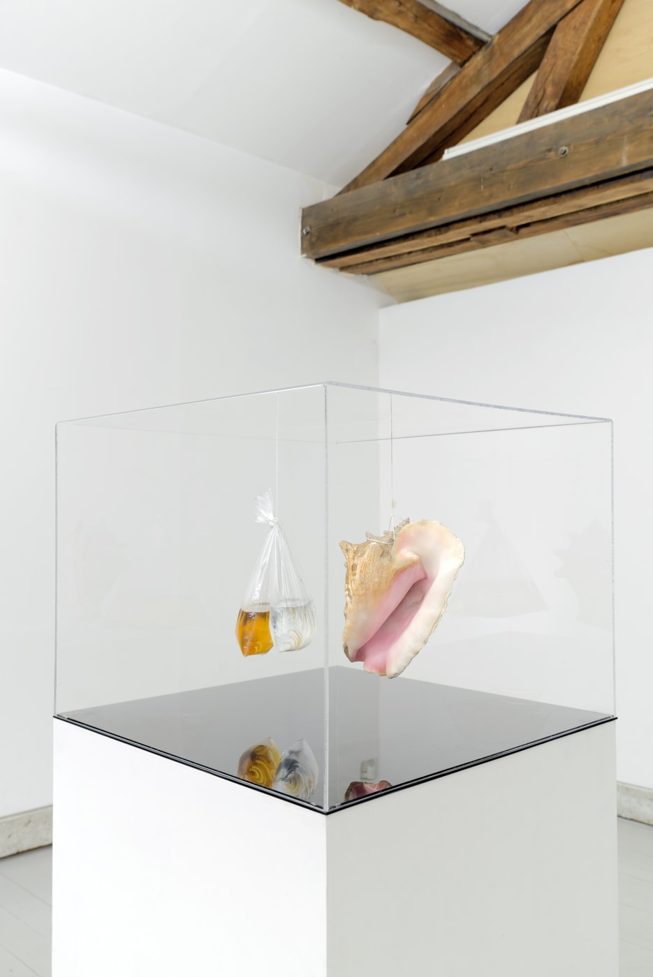 Gk Installation View 101