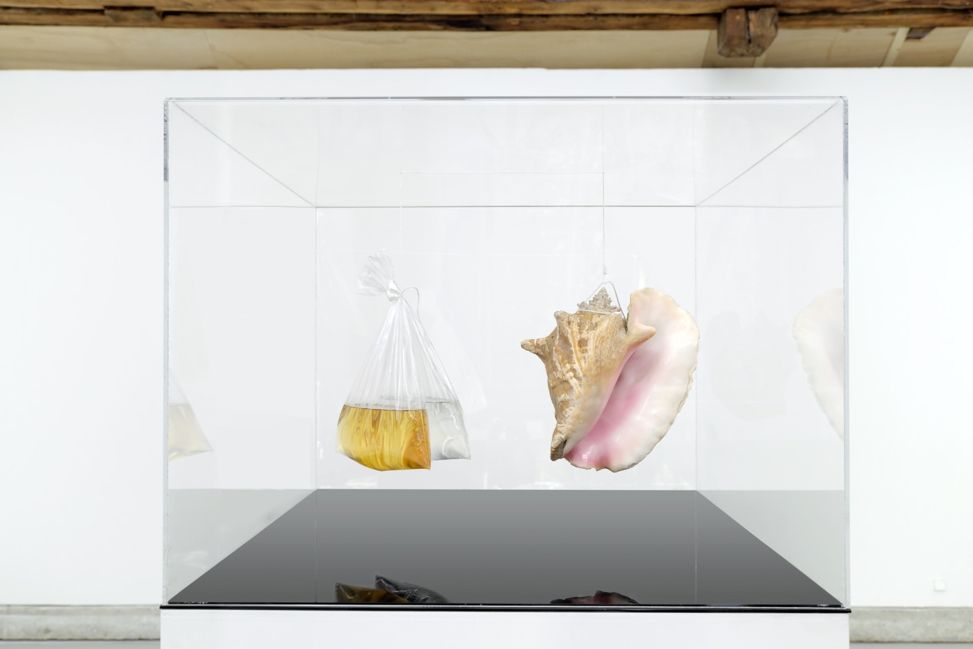 Gk Installation View 102