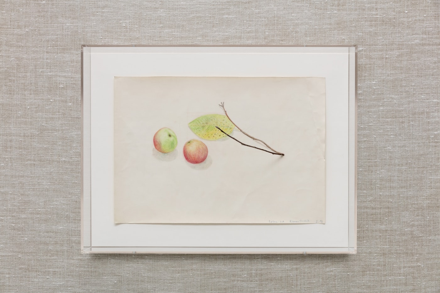 2017 Ro Aalborg W9A1538