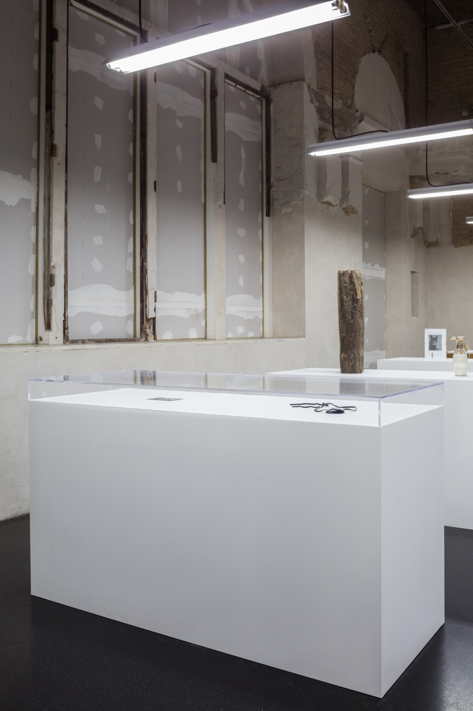 Simon Fujiwara Berlin Biennale 2016 Photo Timo Ohler 06