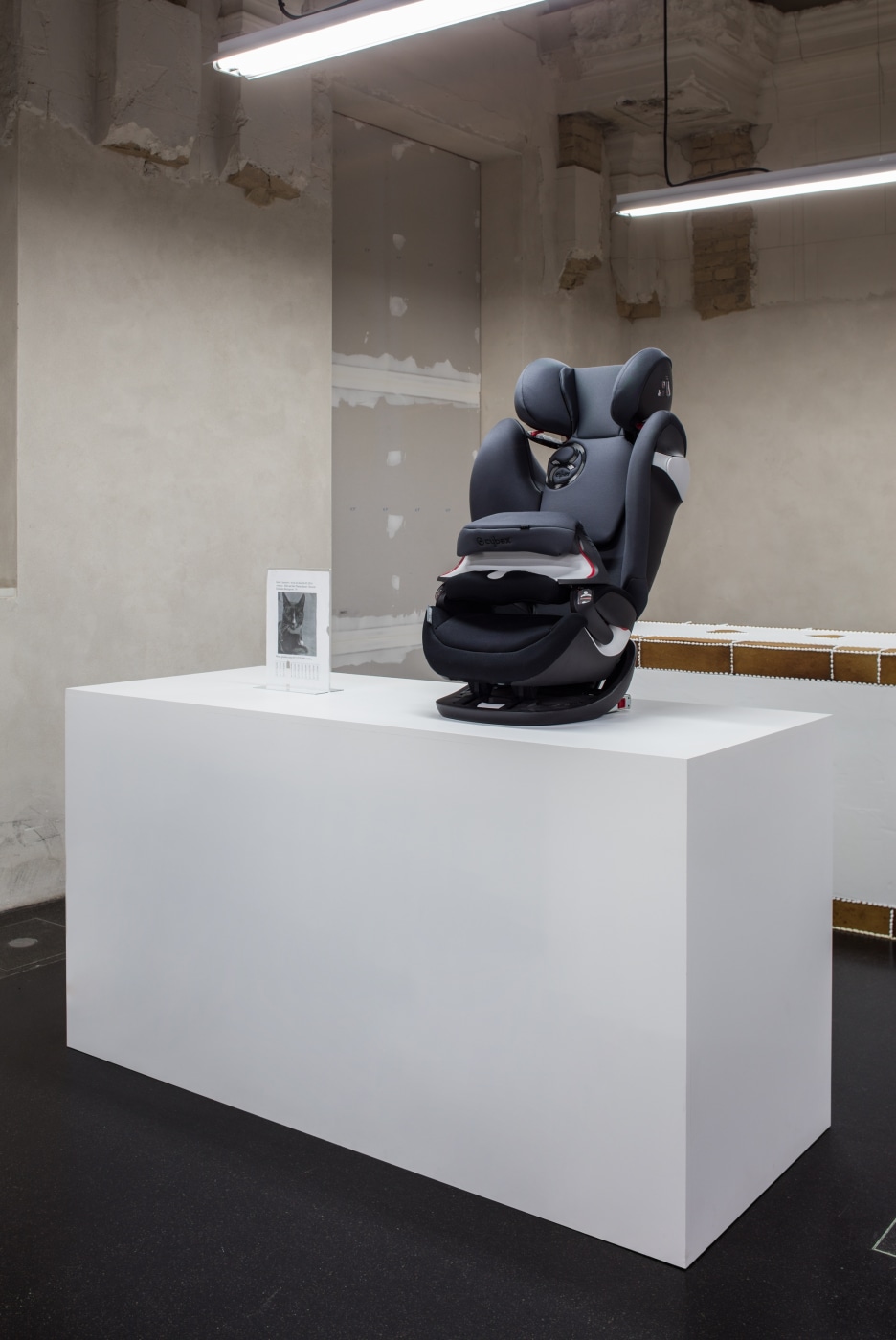 Simon Fujiwara Berlin Biennale 2016 Photo Timo Ohler 17