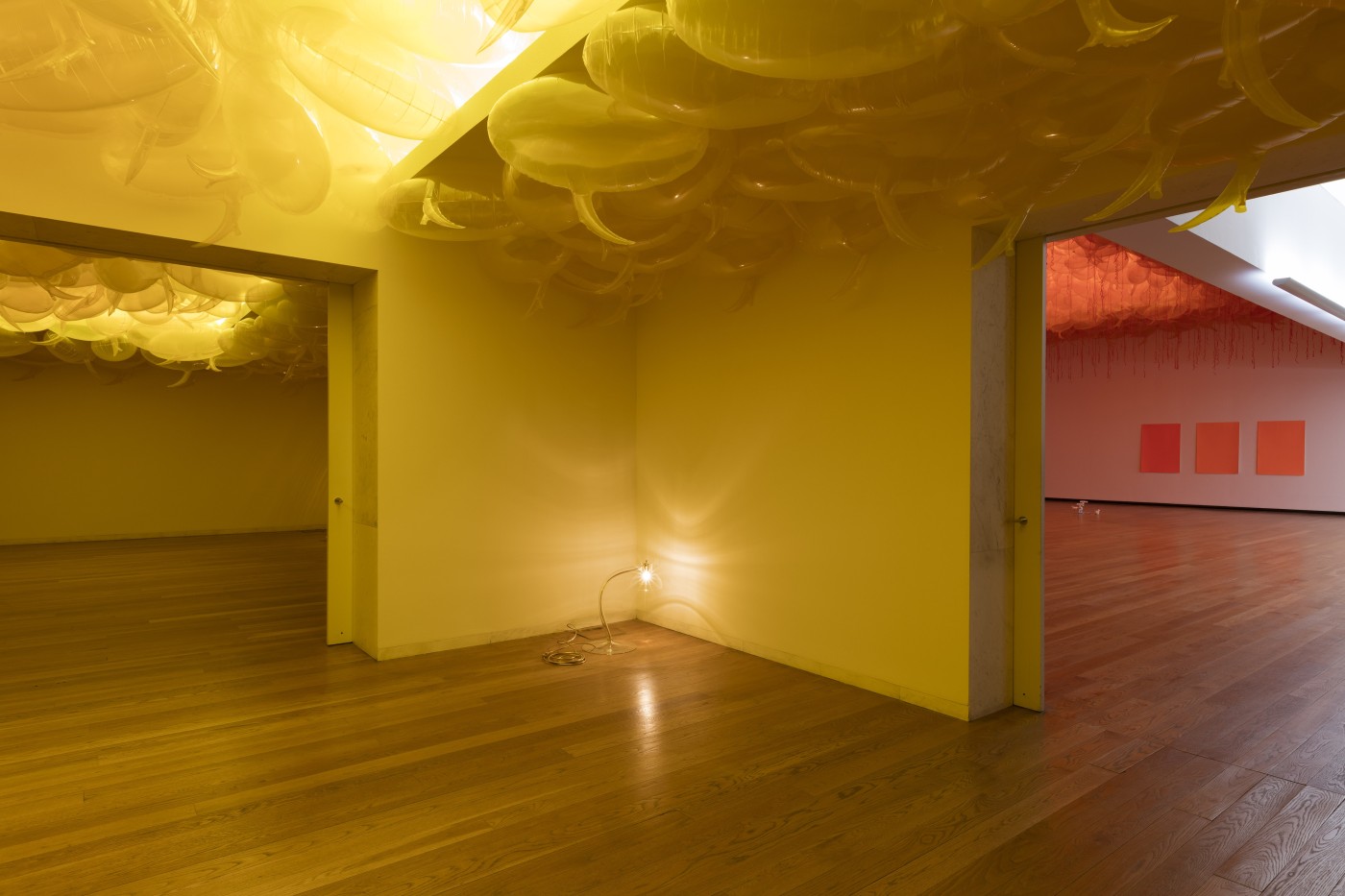 2017 Pp Serralves 043