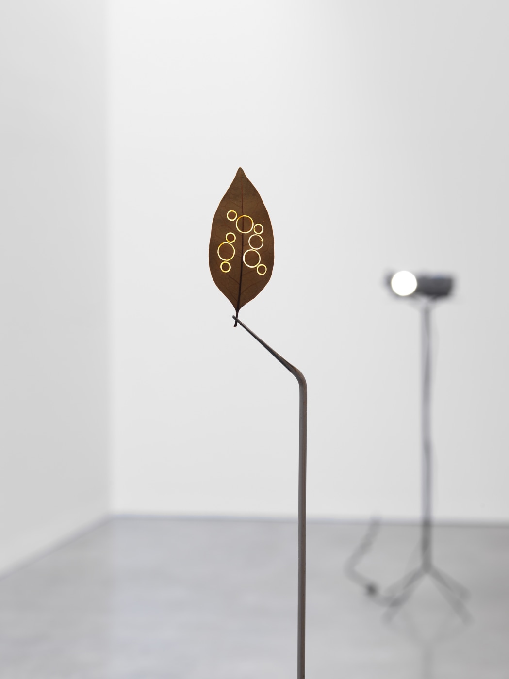 2018 Dsm Bard Schipper 11378