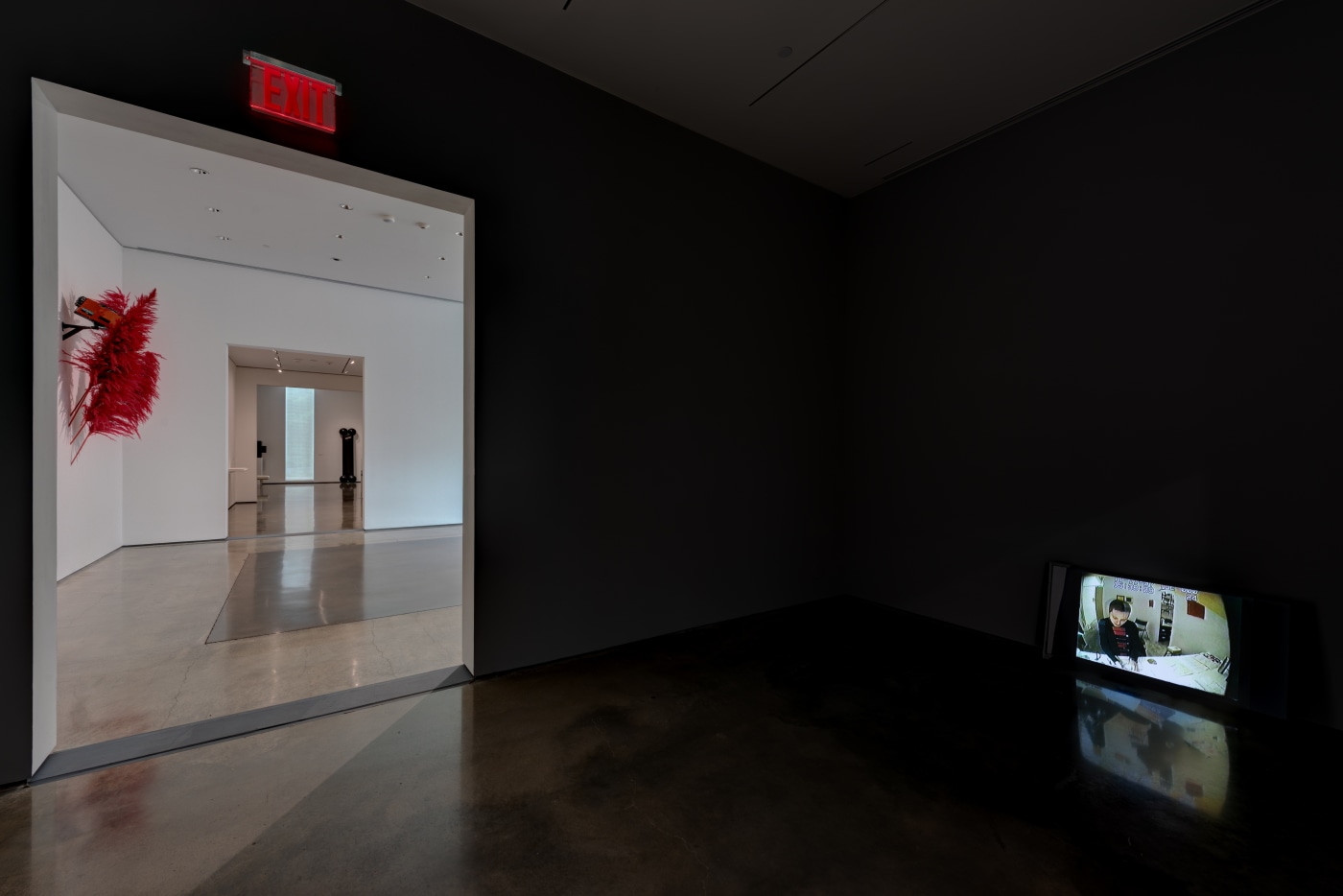 Ccs The Conditions 68