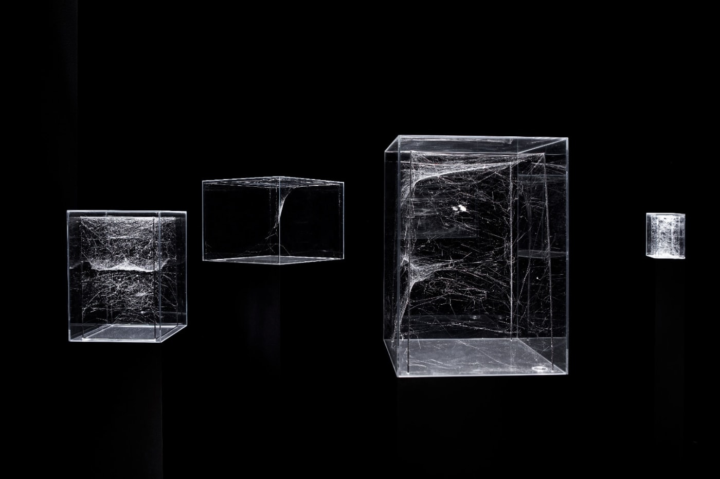 Installation View 01