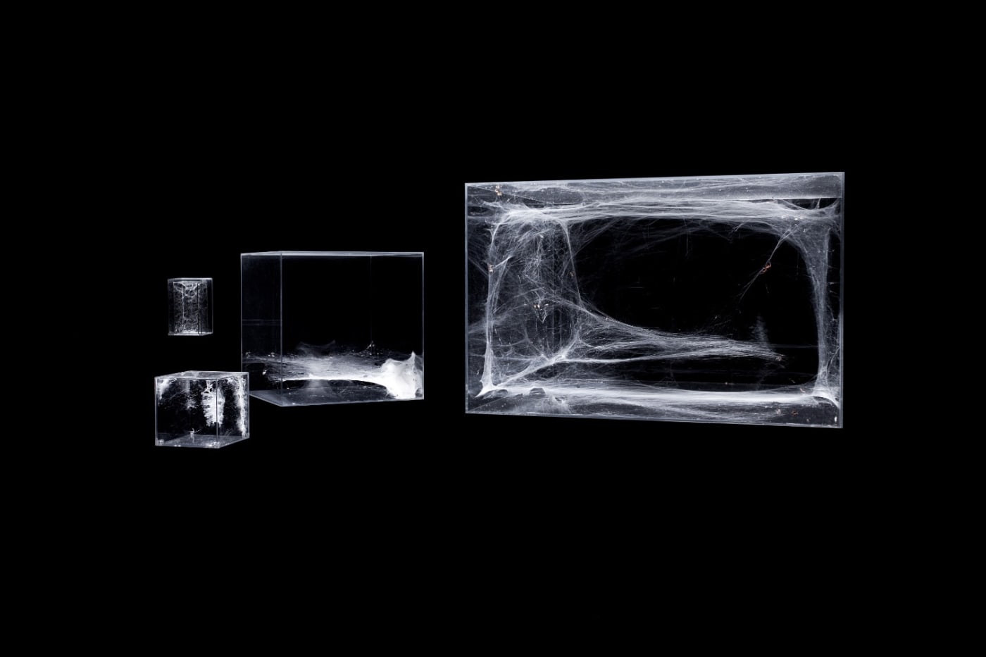 Installation View 04