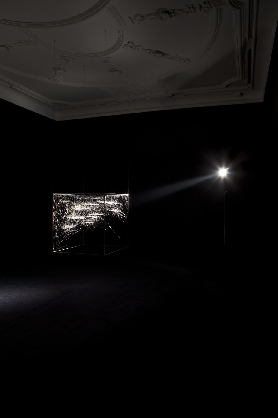 Installation View 08