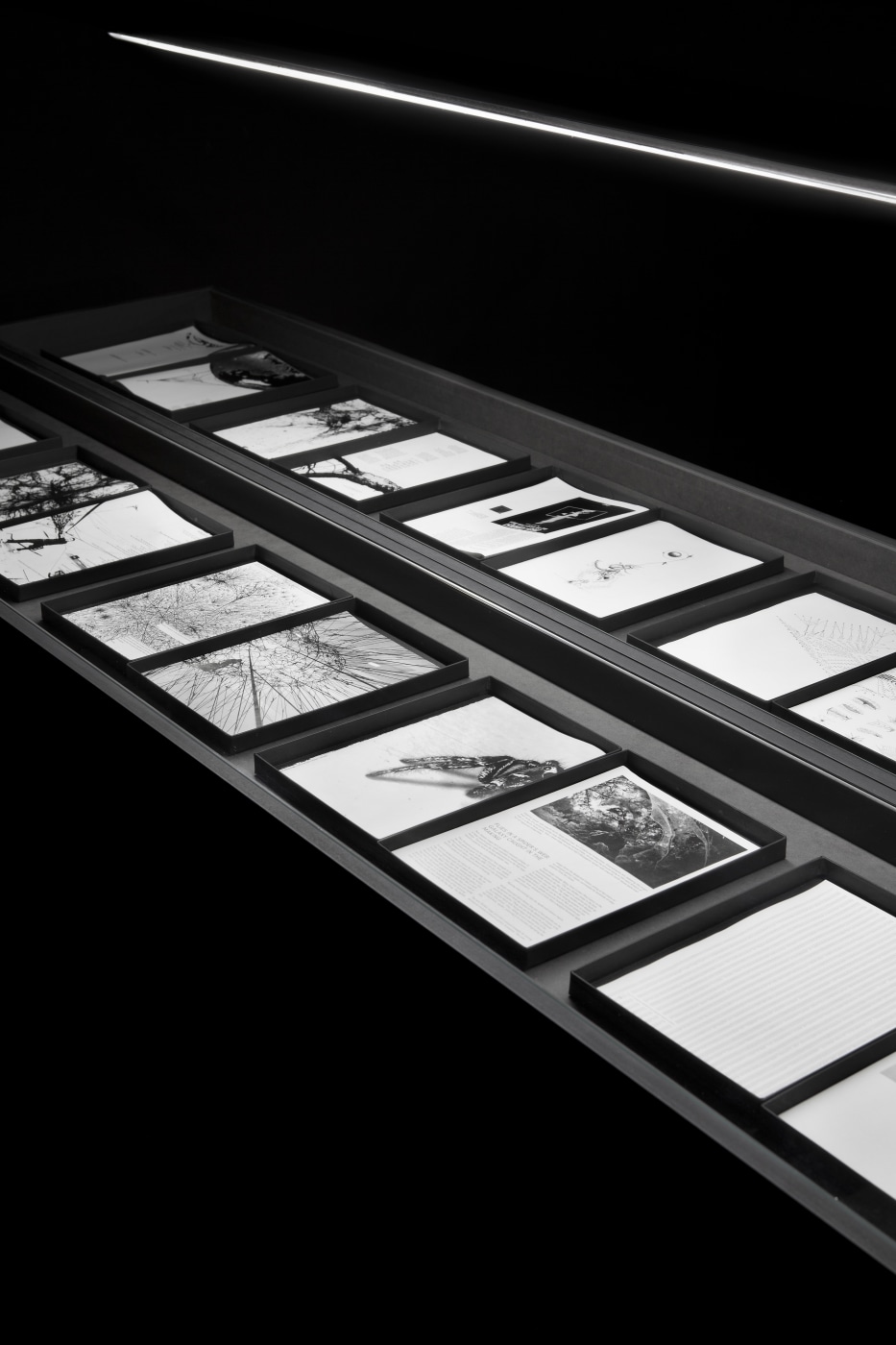 Installation View 11