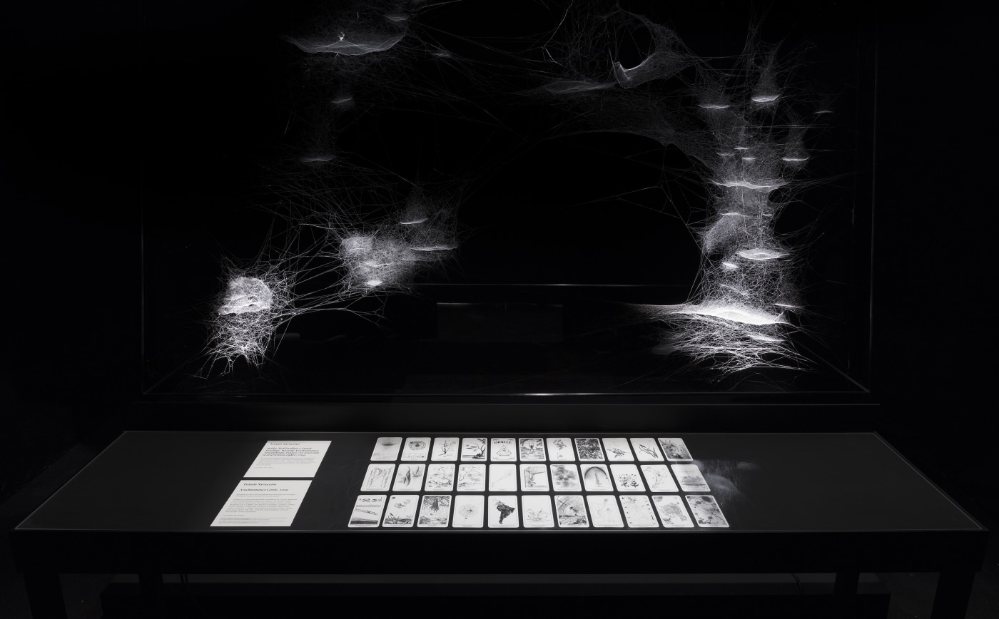 2019 Venice Biennale Ts640 16