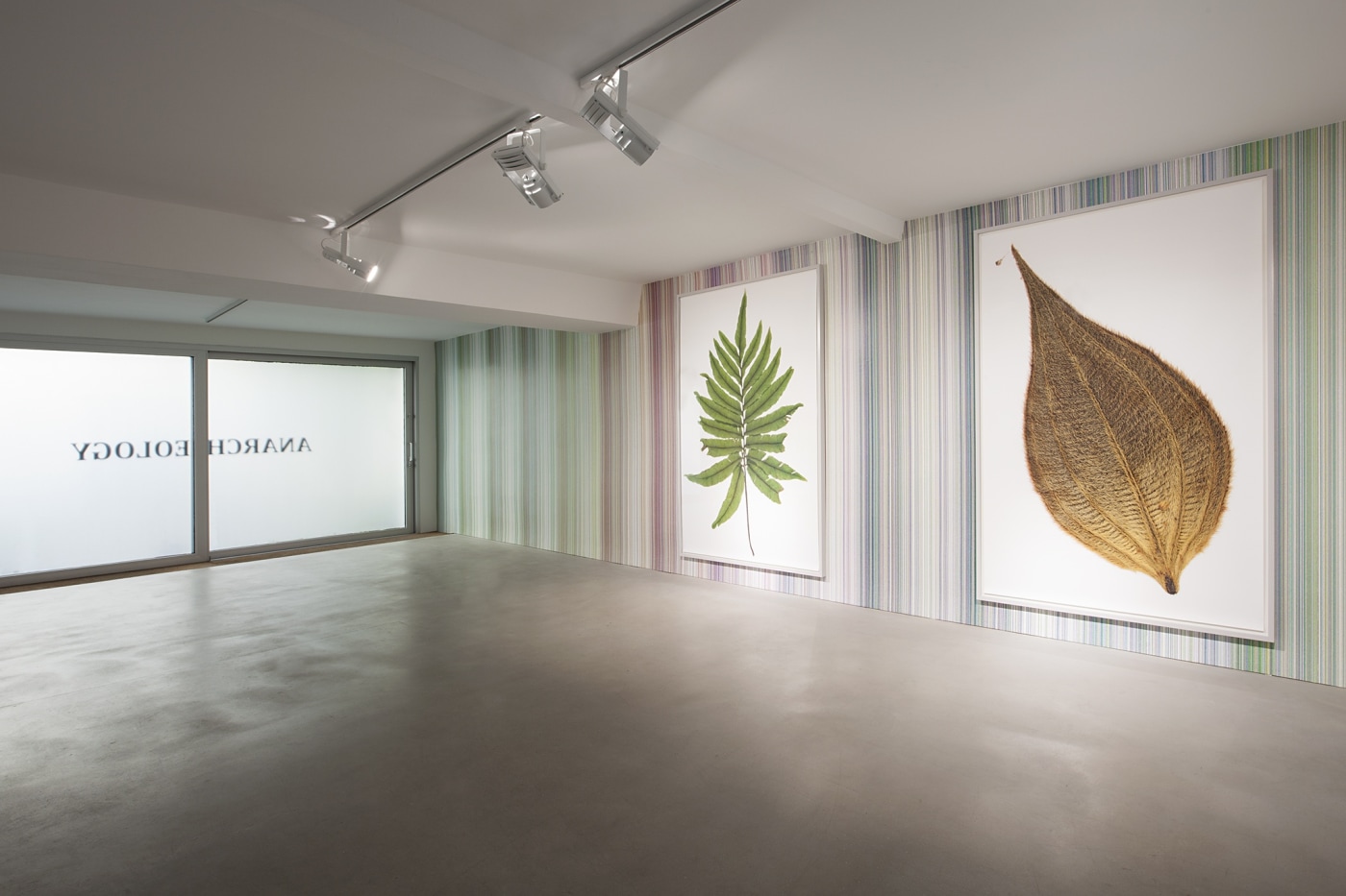 Ck Inst View Anarcheology 2014 1