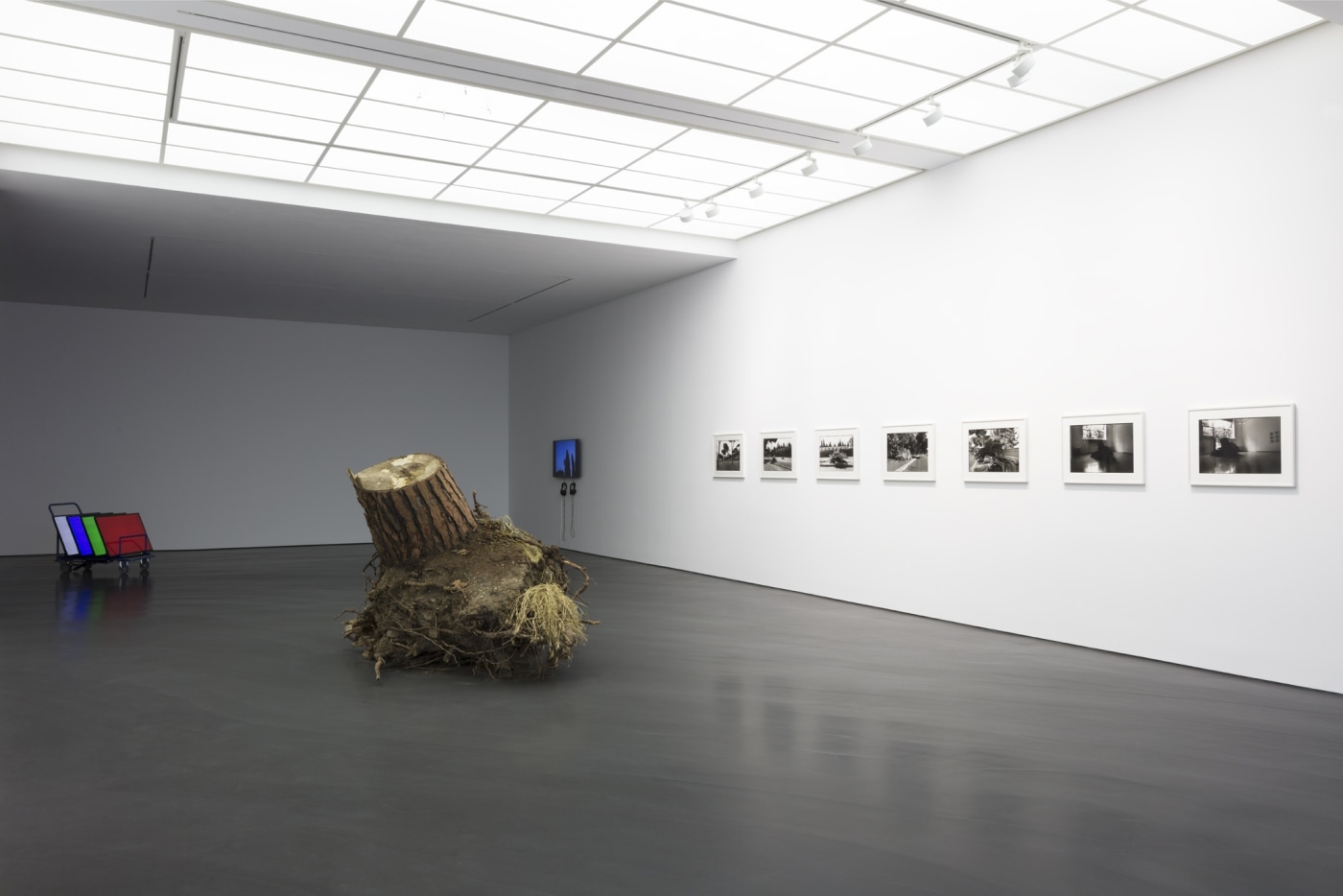 Summer Show Es 2019 16