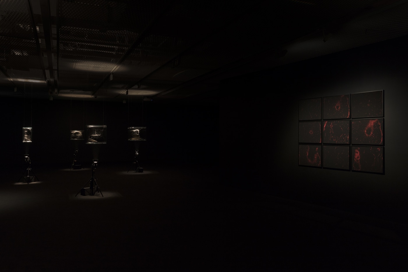 2018 Ts Fosun Shanghai 19A9844