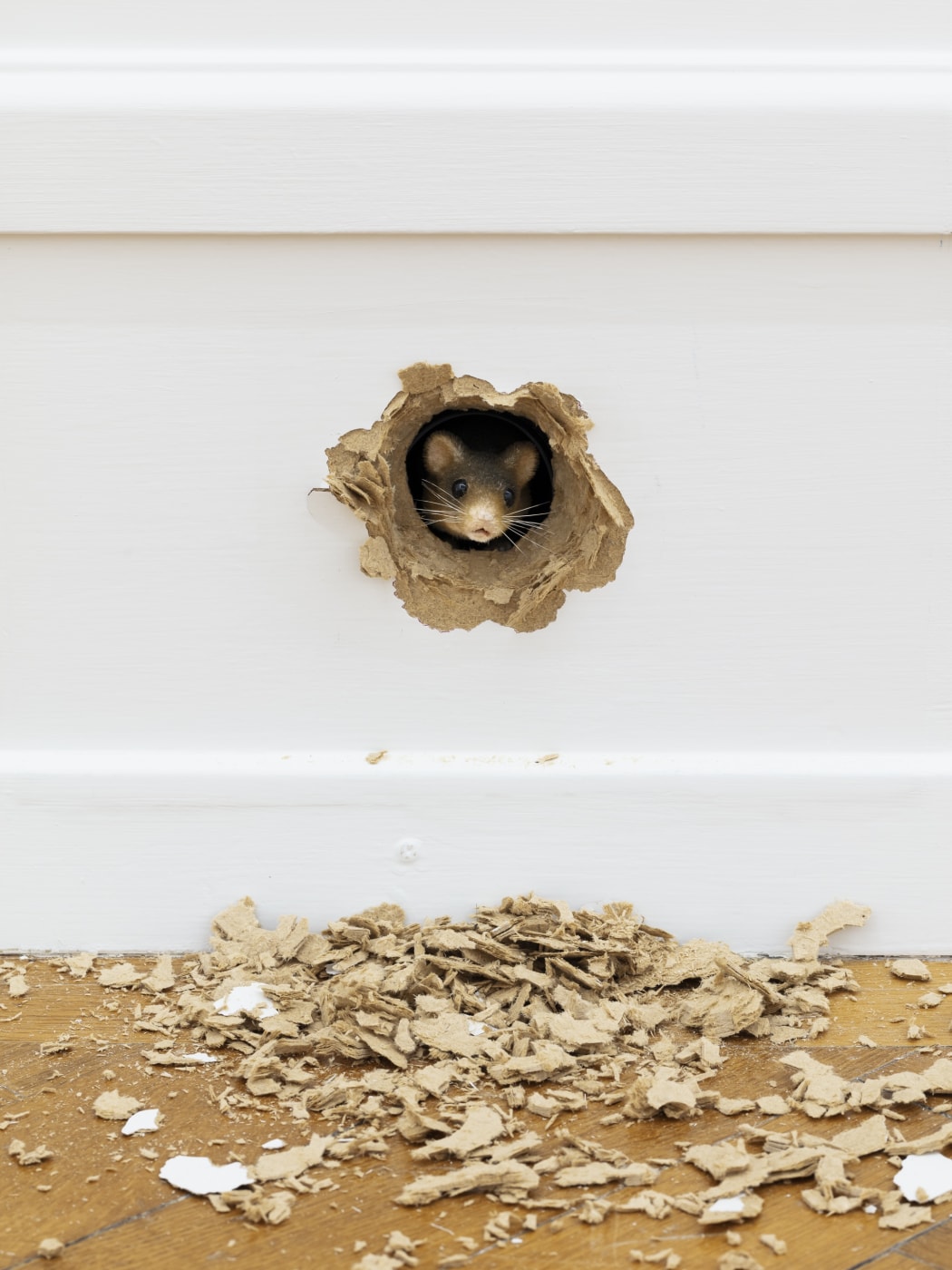 04 02 Ryan Gander The 500 Million Year Collaboration Kunsthalle Bern