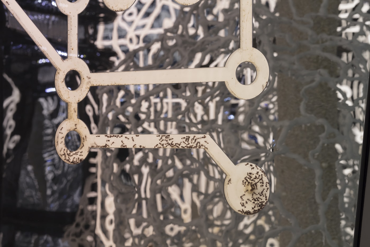 Lifestyle Wars Install 14 Copy