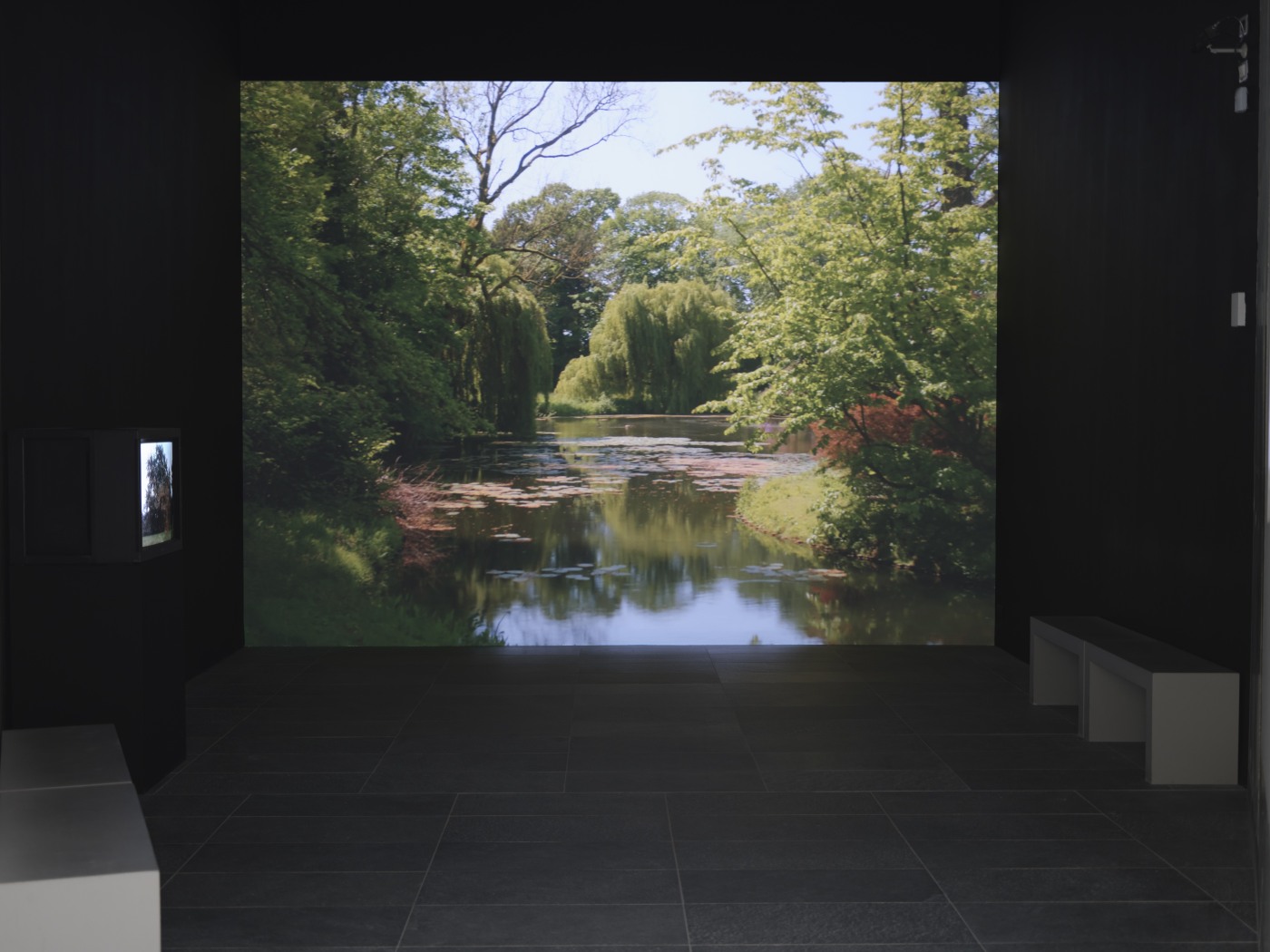 20250527 Musee De L Orangerie Contrepoint Contemporain David Claerbout Vex0036