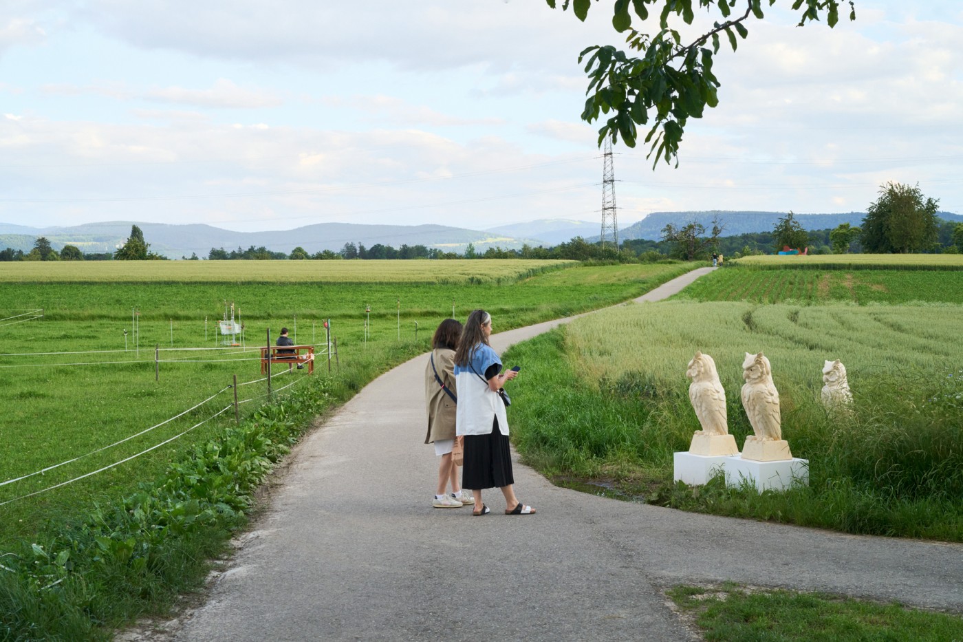 Image: Basel Social Club 2024