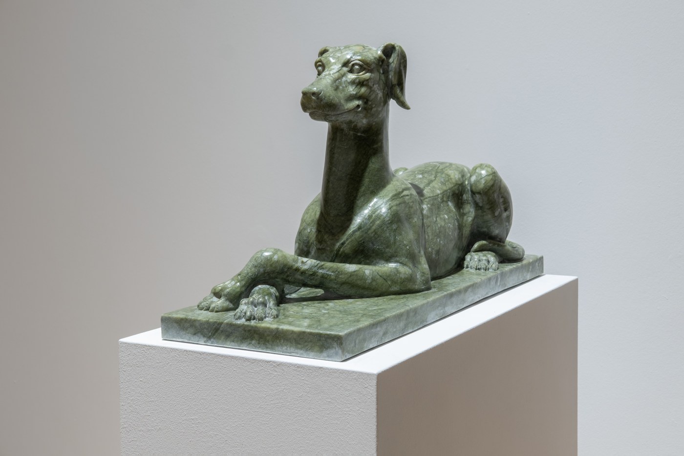 Greyhound Rkw 220218 1405