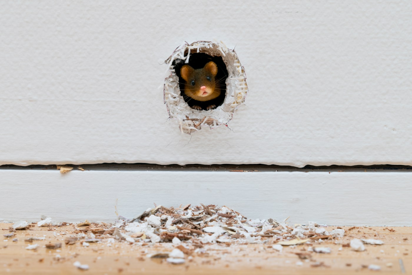 2022 The Markers Of Our Time Tocag Tokyo Tomoki Imai 26