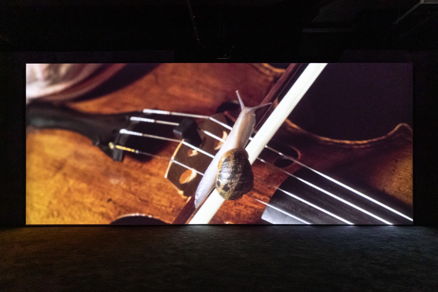 210719 Anrisala Adriandeweerdt 38