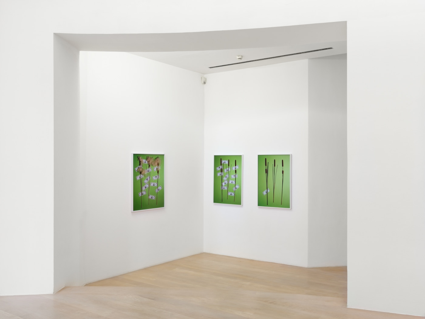 2017 Installationviews Kestnergesellschaft Hannover 5