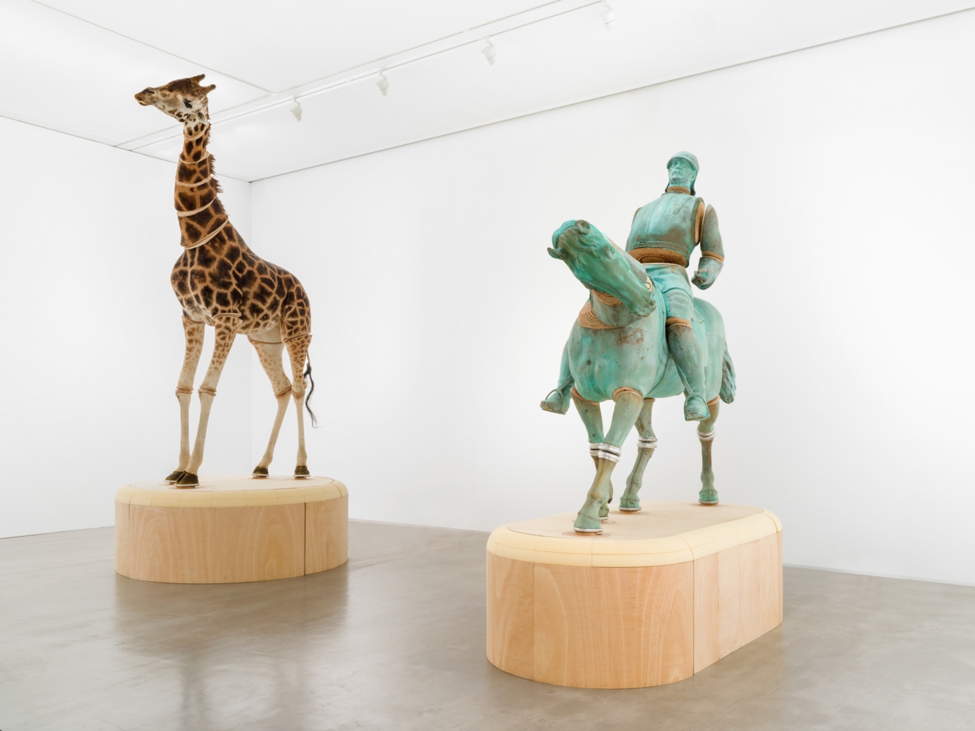 Ausstellungsansichten Jvb Neu Roman Maerz 23